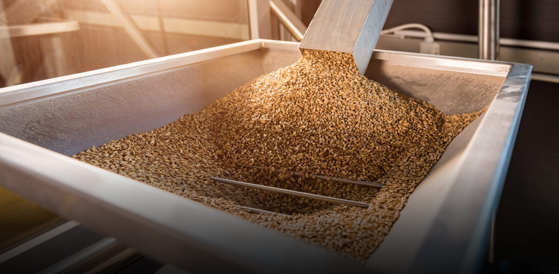 Công nghiệp chế biến thực phẩm